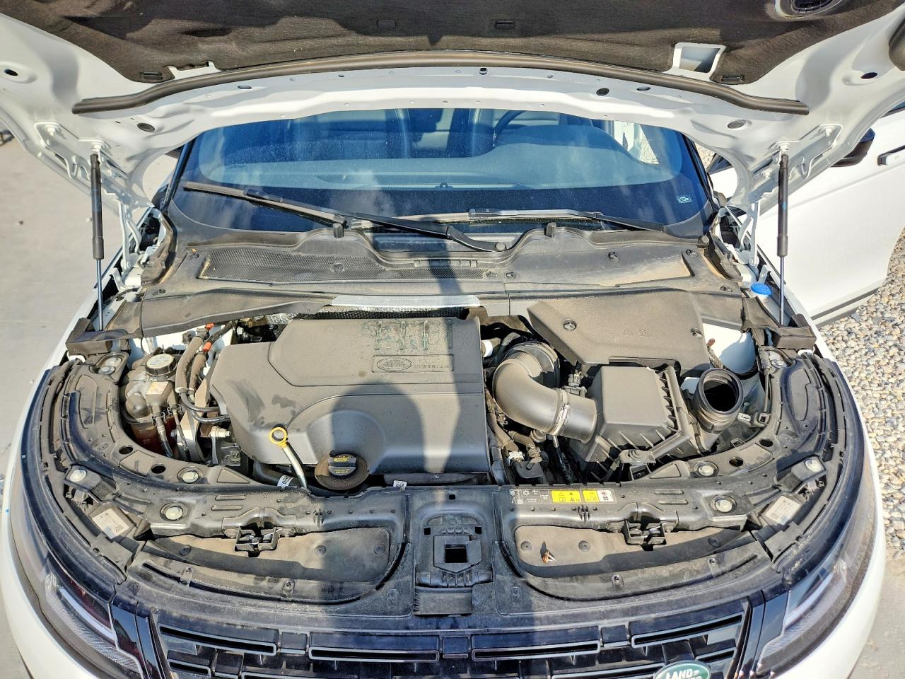 2024 Land Rover Range Rover Evoque S White vin: SALZJ2FX1RH261505