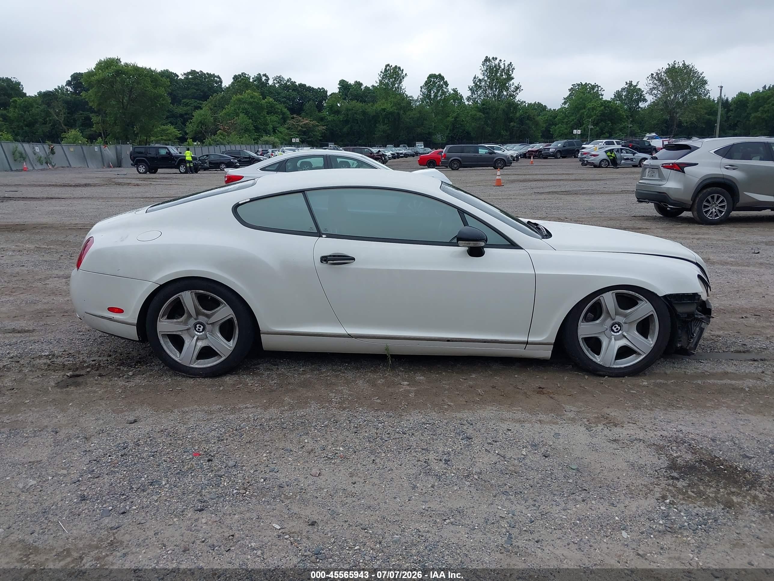 2005 Bentley Continental Gt   White vin: SCBCR63W55C027905