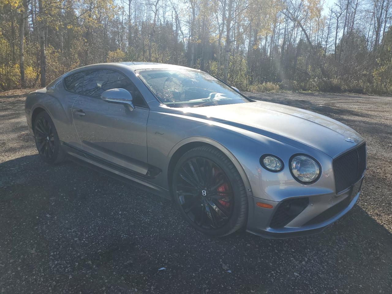 2022 Bentley Continental Gt Speed Серебряный vin: SCBCT2ZG4NC098006