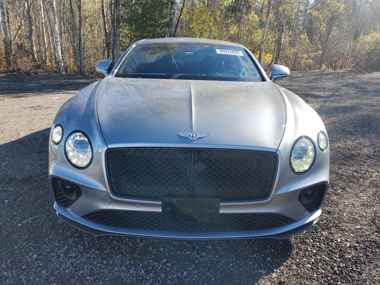 2022 Bentley Continental Gt Speed Серебряный vin: SCBCT2ZG4NC098006