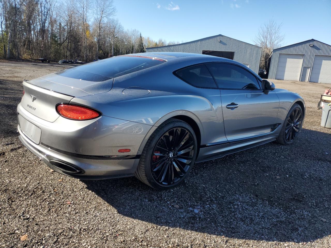 2022 Bentley Continental Gt Speed Серебряный vin: SCBCT2ZG4NC098006