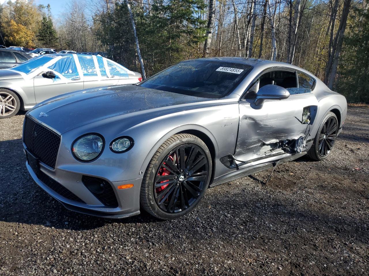 2022 Bentley Continental Gt Speed Серебряный vin: SCBCT2ZG4NC098006