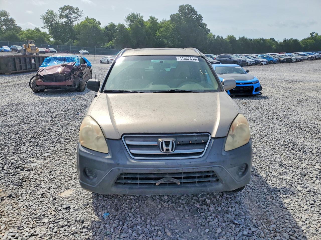 2006 Honda Cr-v Ex Tan vin: SHSRD78816U402952