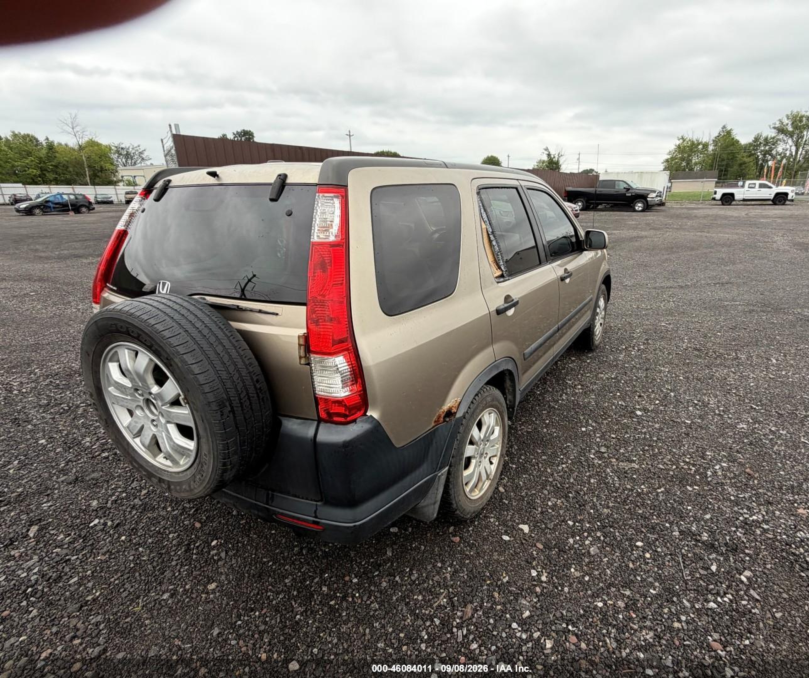 2006 Honda Cr-v Ex Gold vin: SHSRD78826U446118