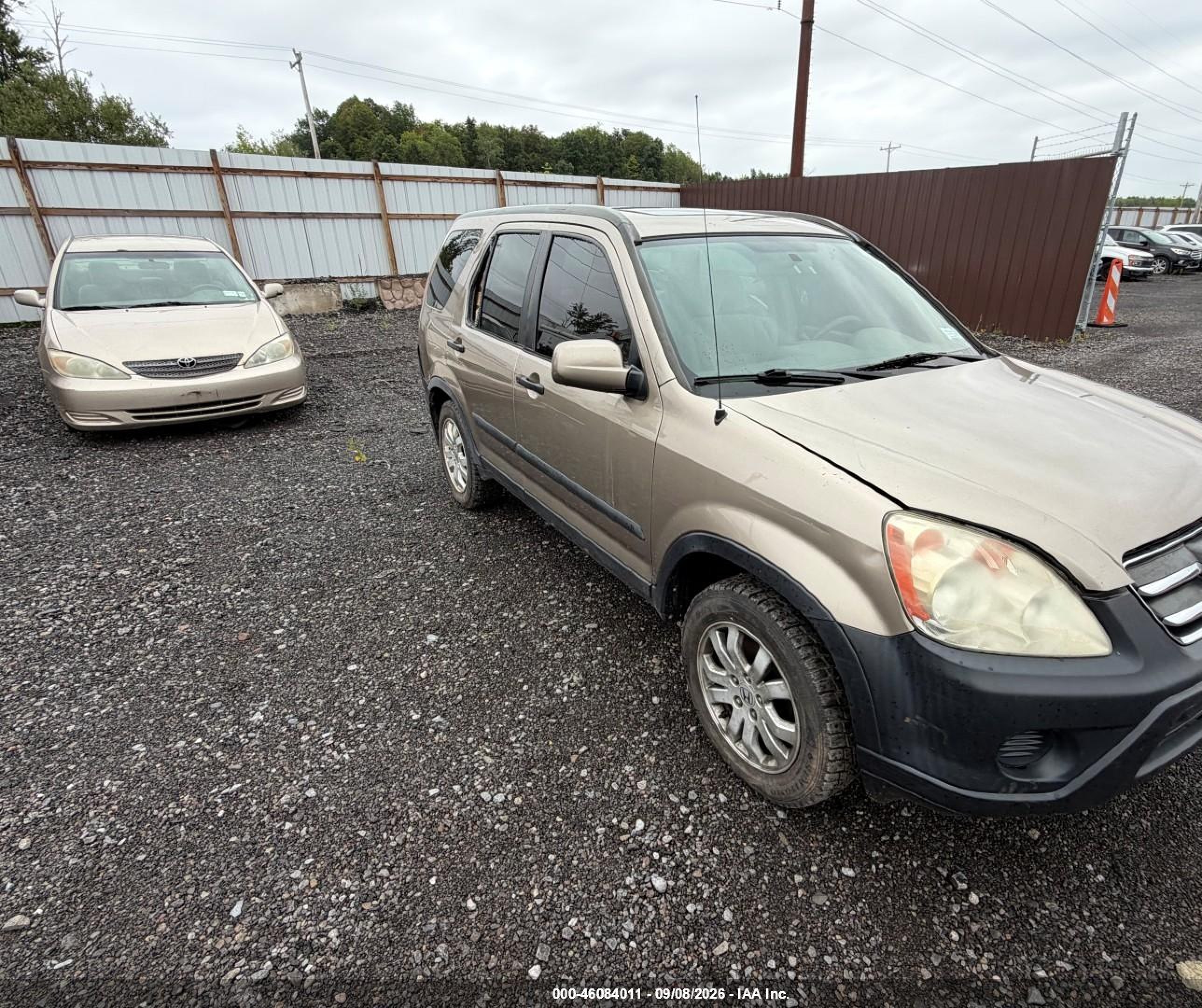 2006 Honda Cr-v Ex Gold vin: SHSRD78826U446118