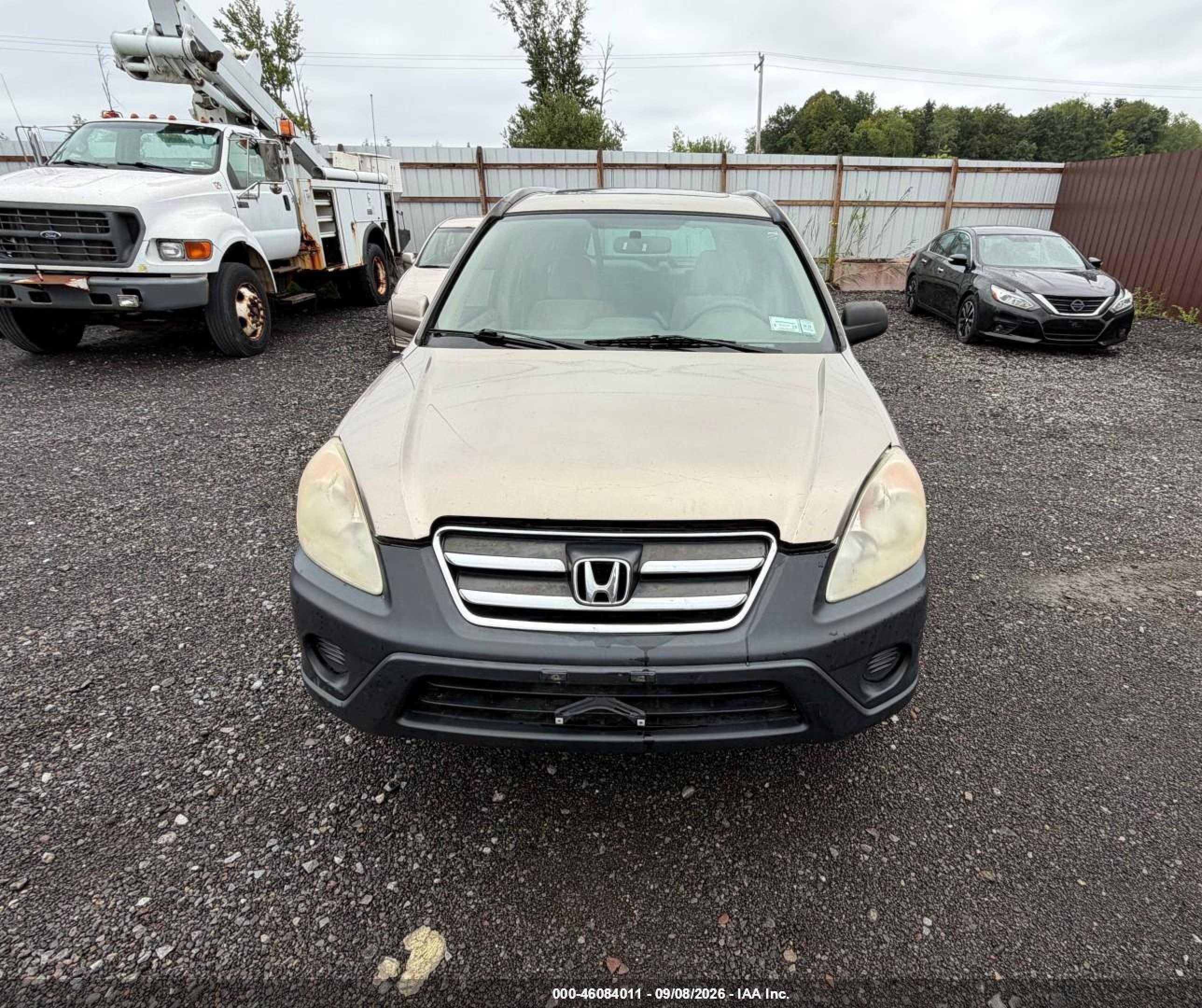 2006 Honda Cr-v Ex Gold vin: SHSRD78826U446118