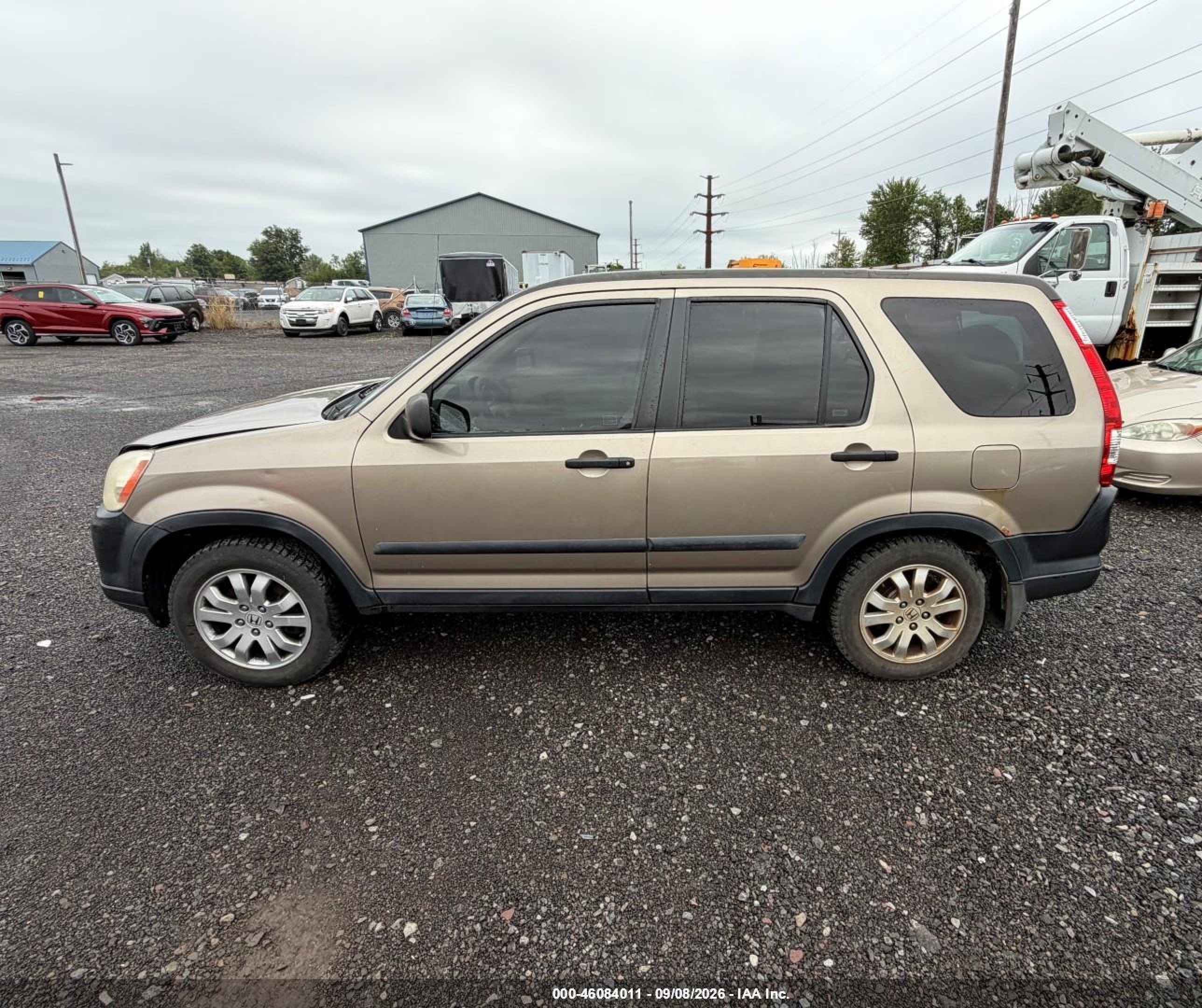 2006 Honda Cr-v Ex Gold vin: SHSRD78826U446118