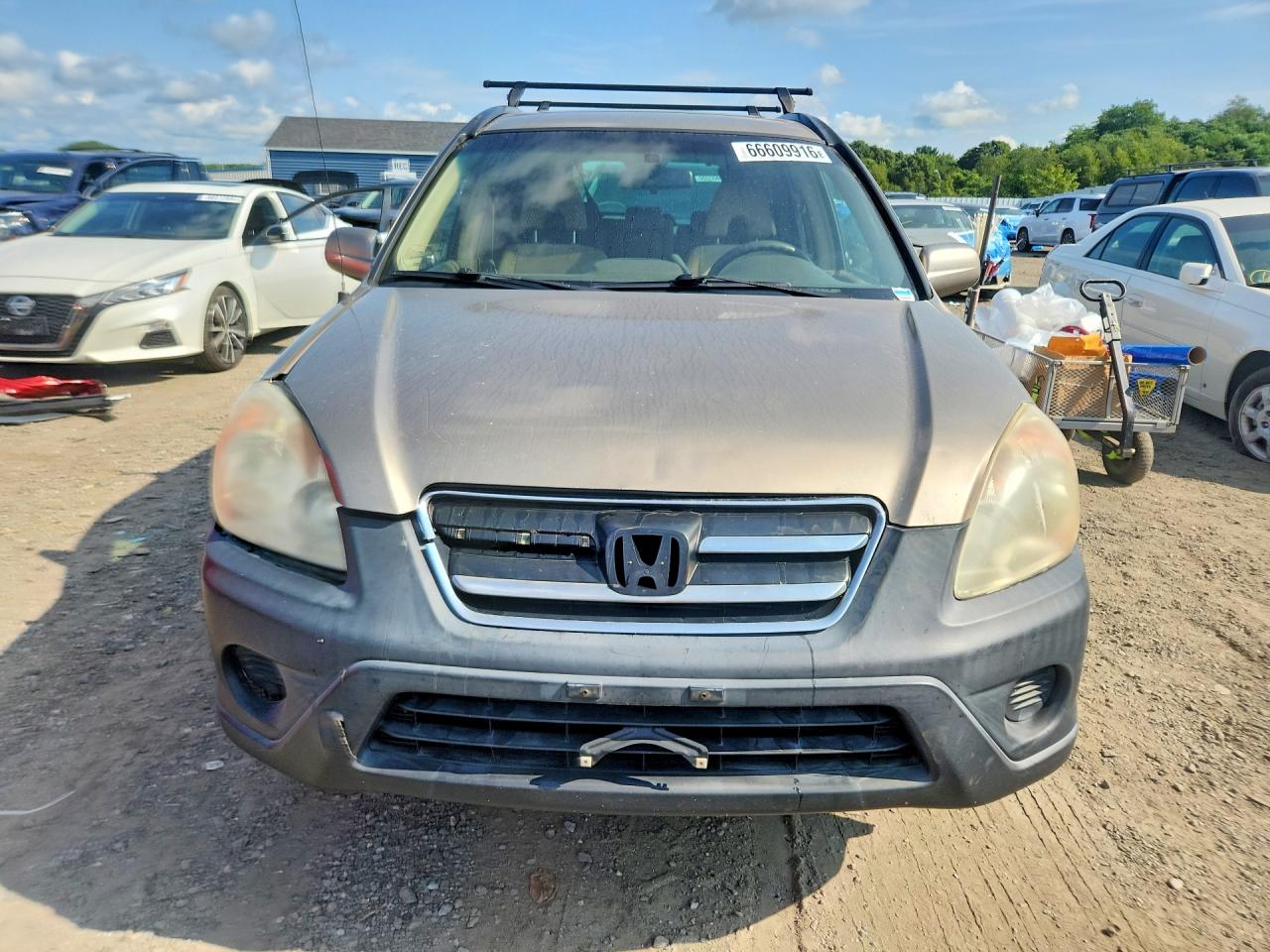 2005 Honda Cr-v Ex Tan vin: SHSRD78855U322441
