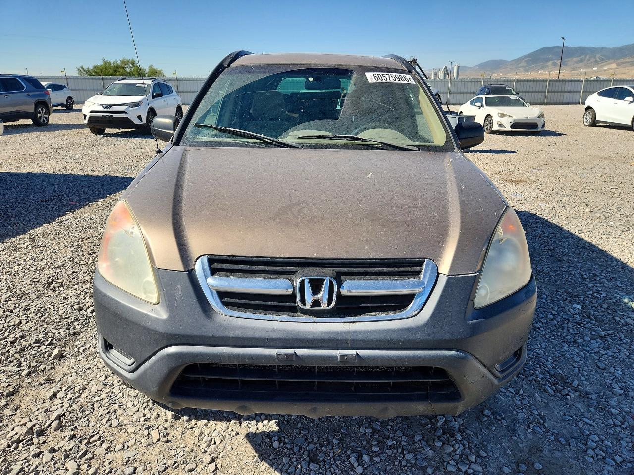 2003 Honda Cr-v Ex Brown vin: SHSRD78863U144049