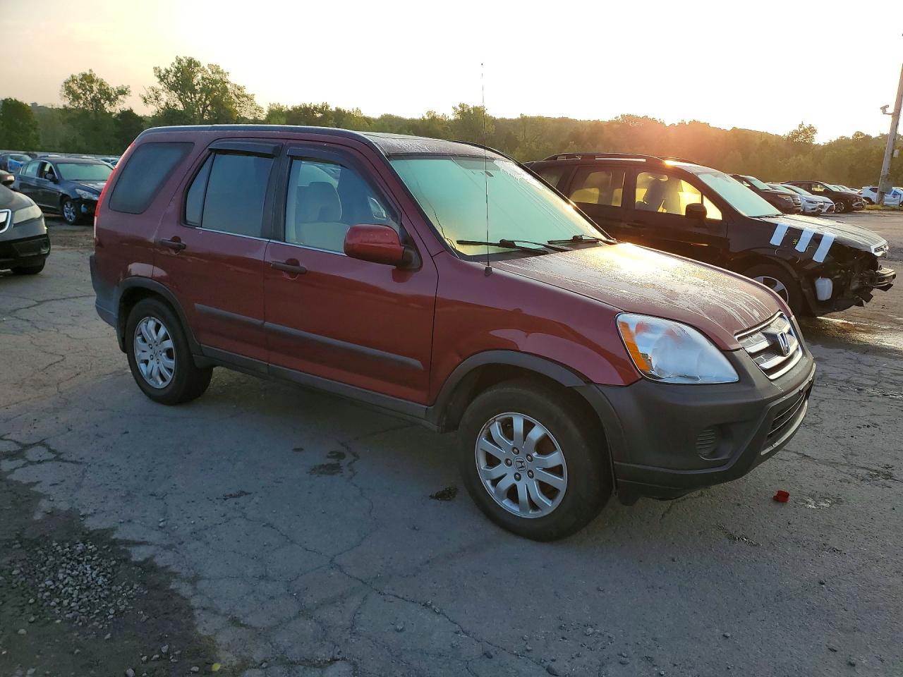 2006 Honda Cr-v Ex Maroon vin: SHSRD78876U424258