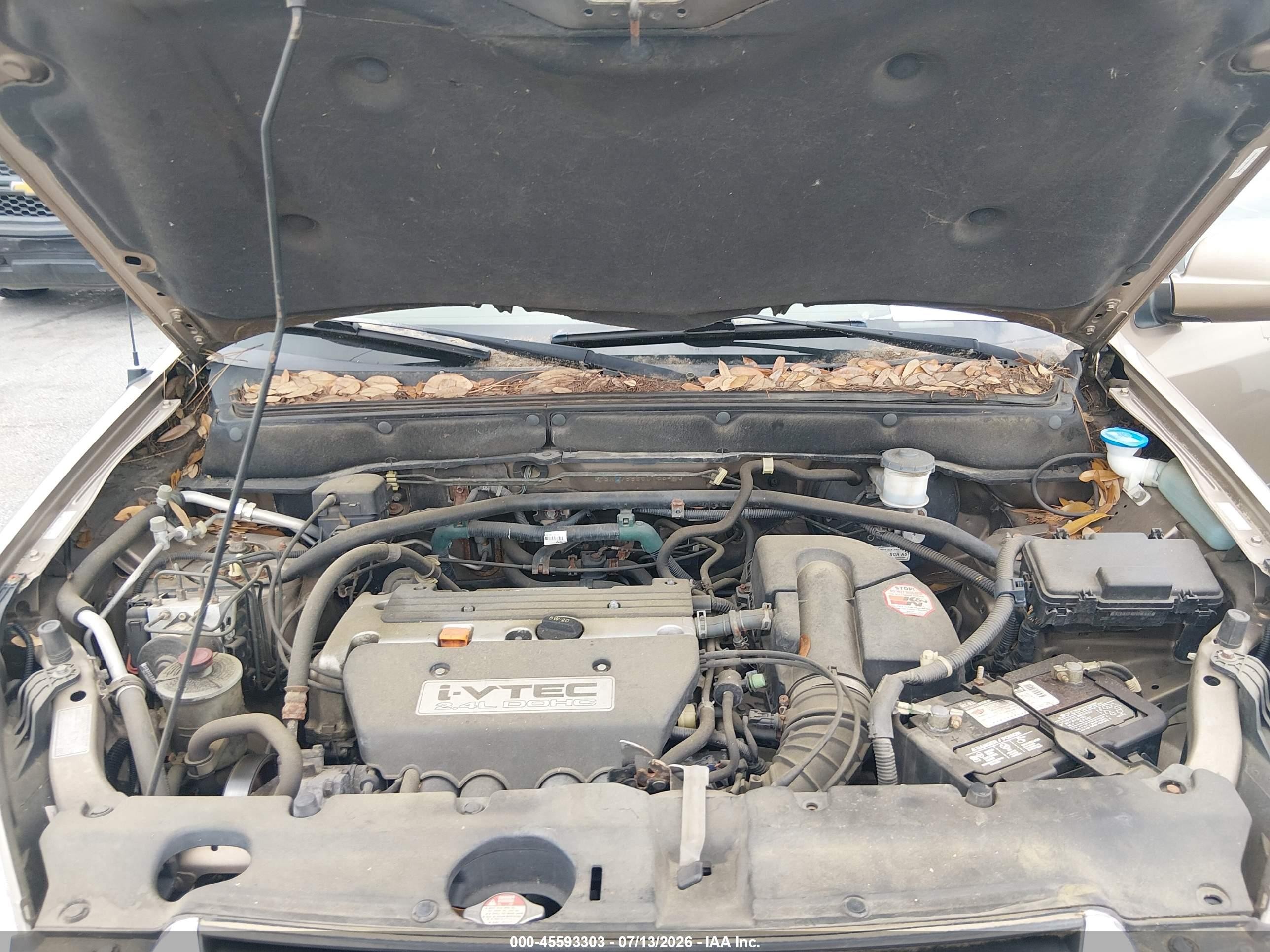 2003 Honda Cr-v Ex Dark Brown vin: SHSRD78883U158440