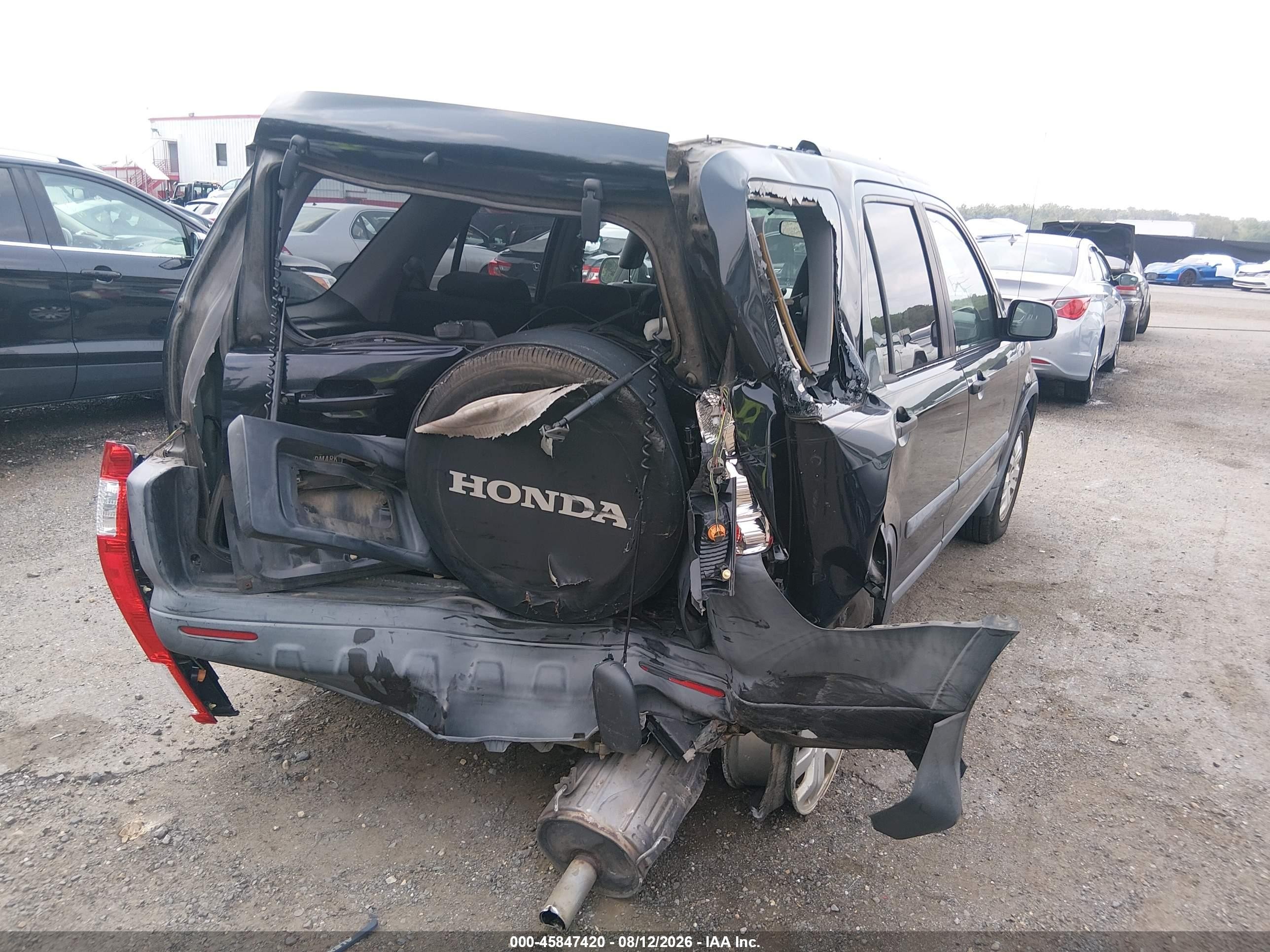 2006 Honda Cr-v Ex Black vin: SHSRD78886U402169