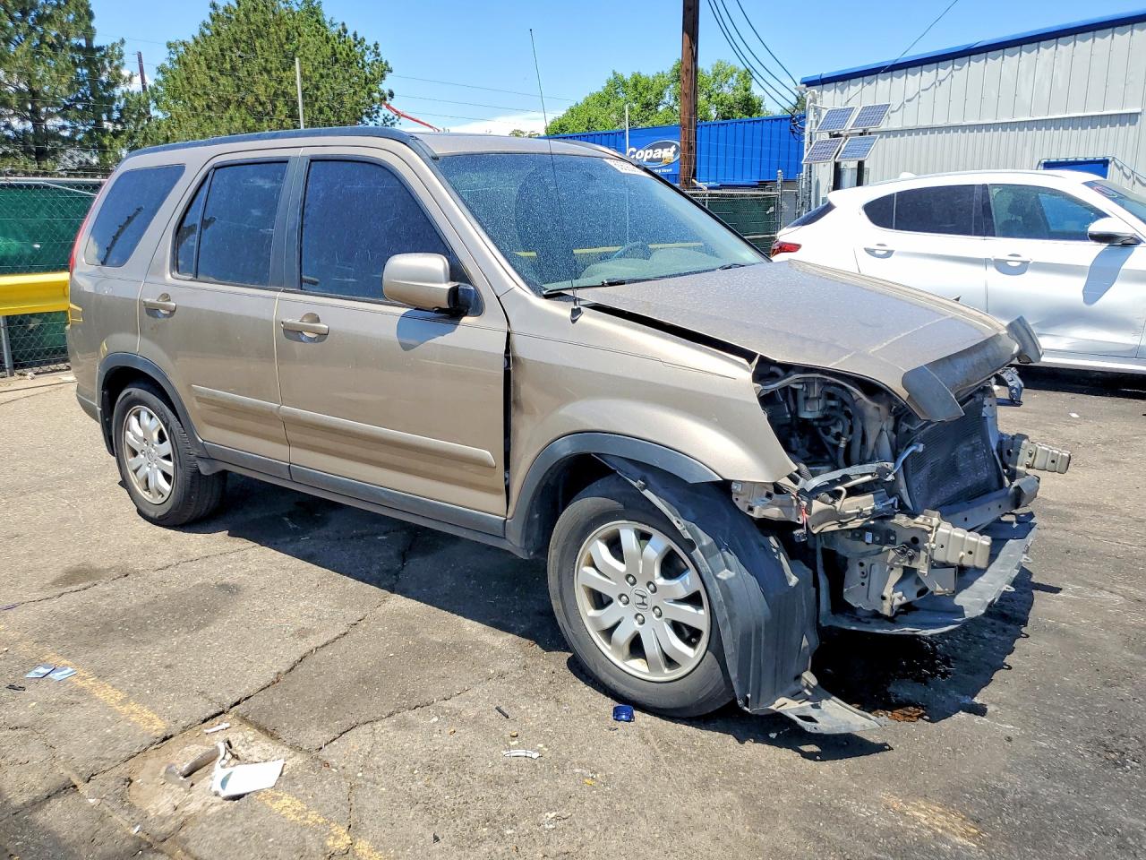 2006 Honda Cr-v Se Gold vin: SHSRD78906U424403