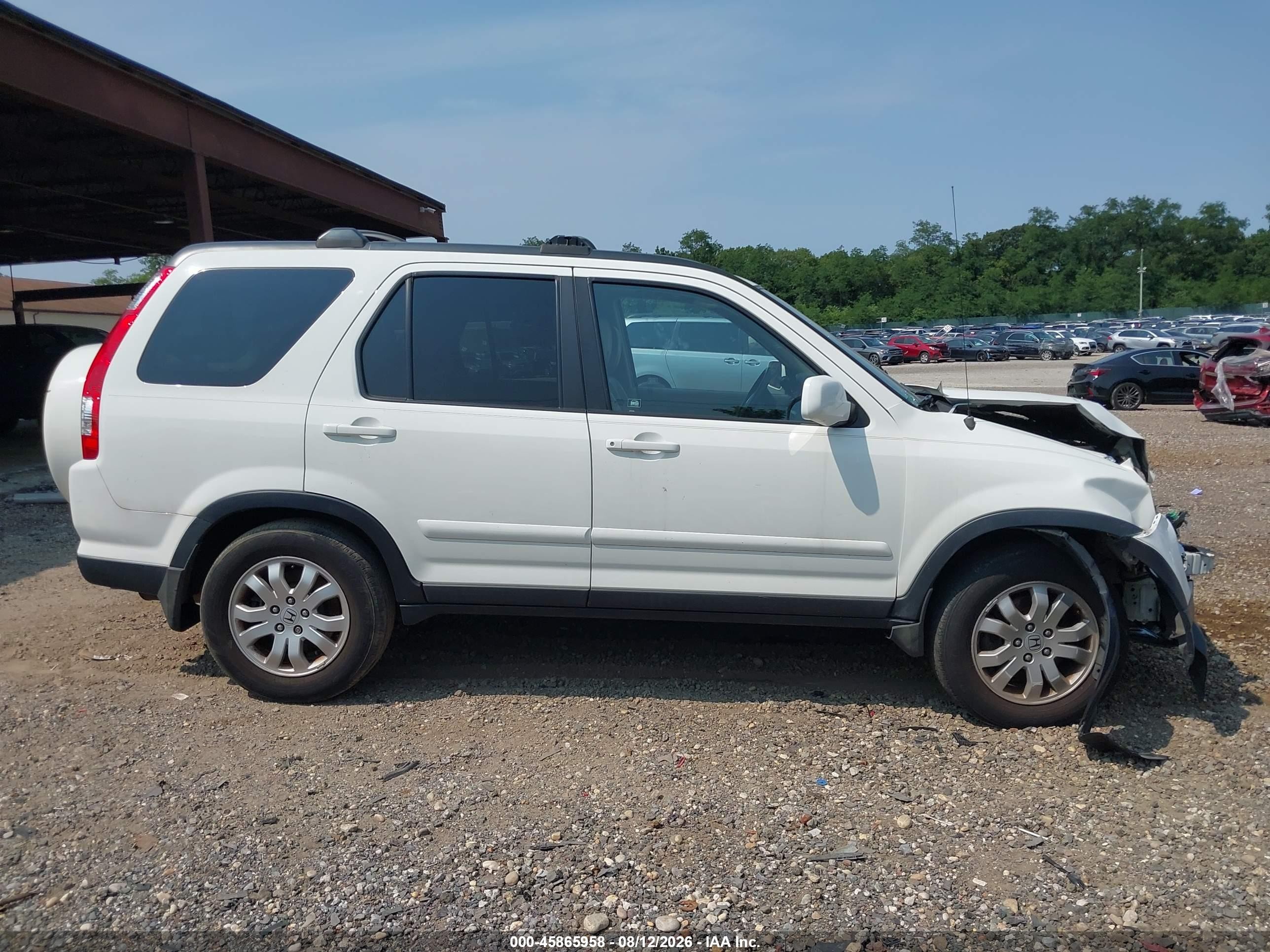 2006 Honda Cr-v Se White vin: SHSRD78926U416917