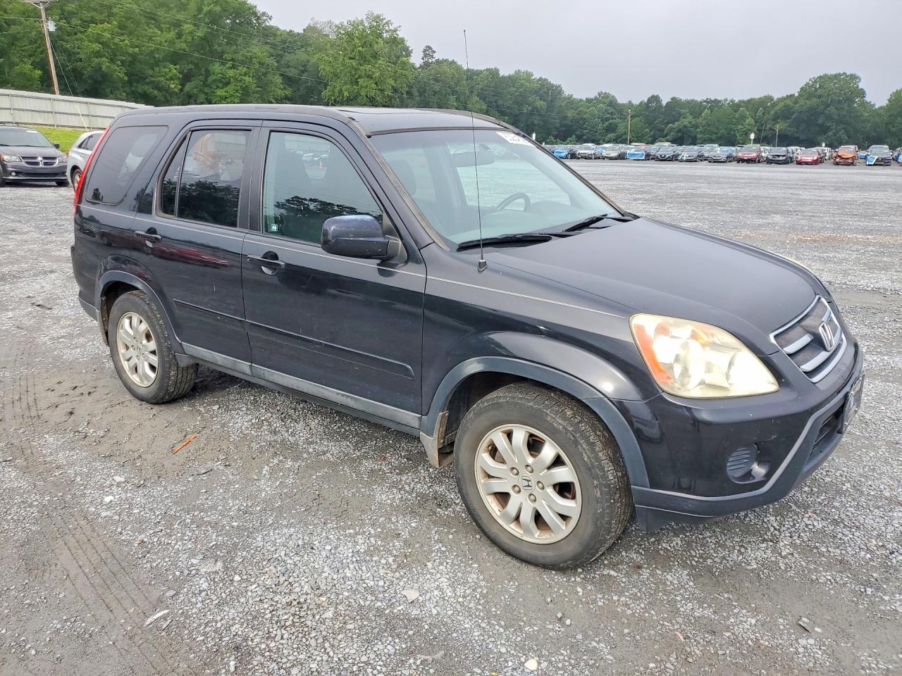 2006 Honda Cr-v Se Black vin: SHSRD78966U408447