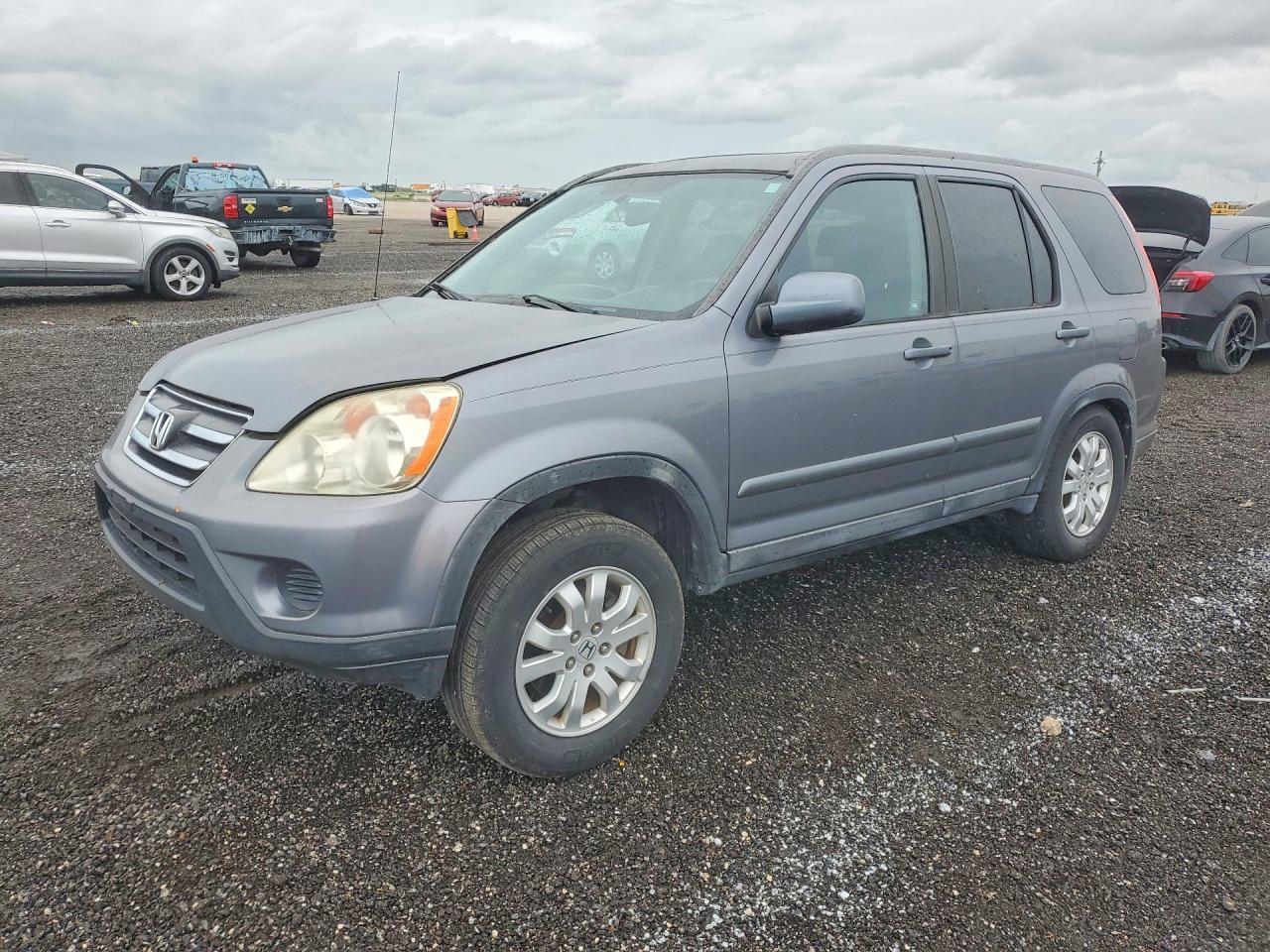 2005 Honda Cr-v Se Gray vin: SHSRD78985U338190