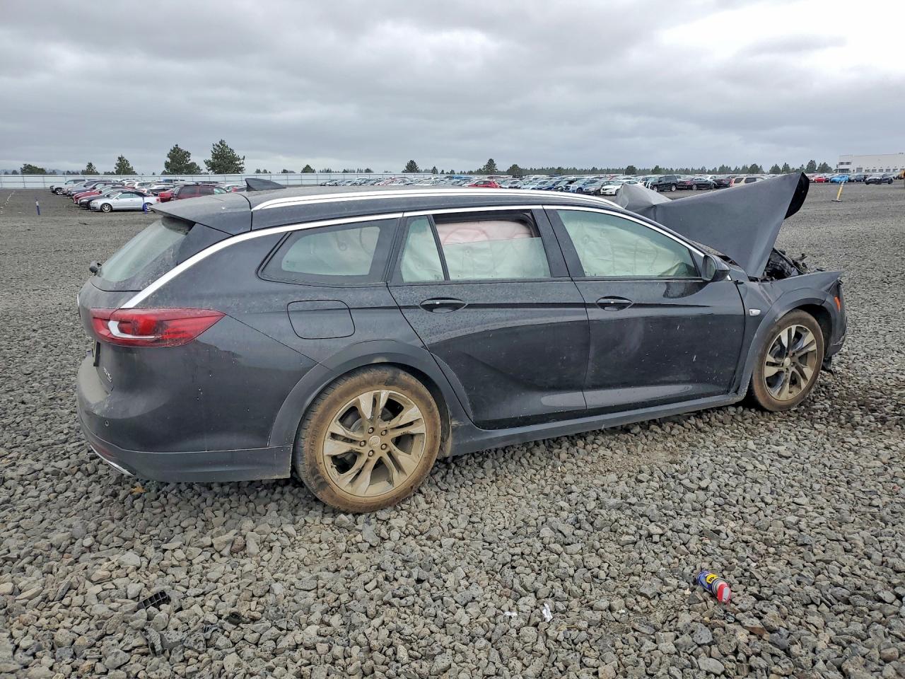 2019 Buick Regal Tourx Essence Black vin: W04GV8SX5K1010944