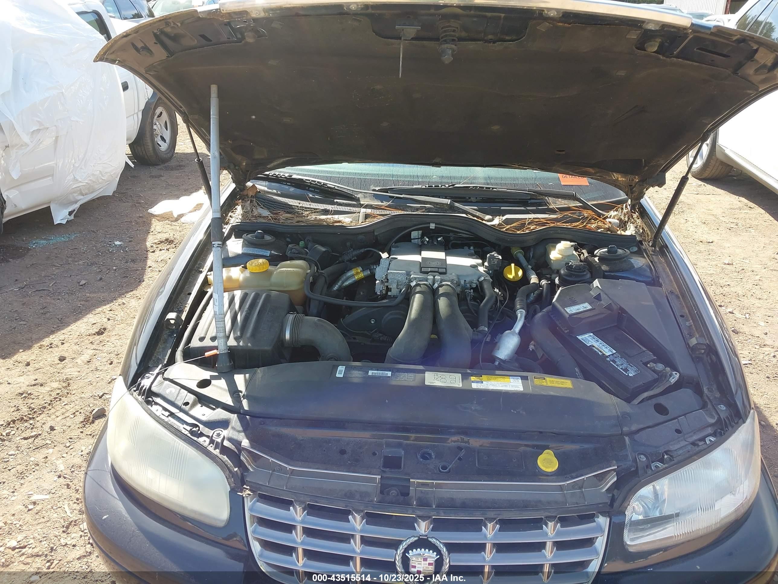1998 Cadillac Catera Standard Black vin: W06VR52R0WR225691