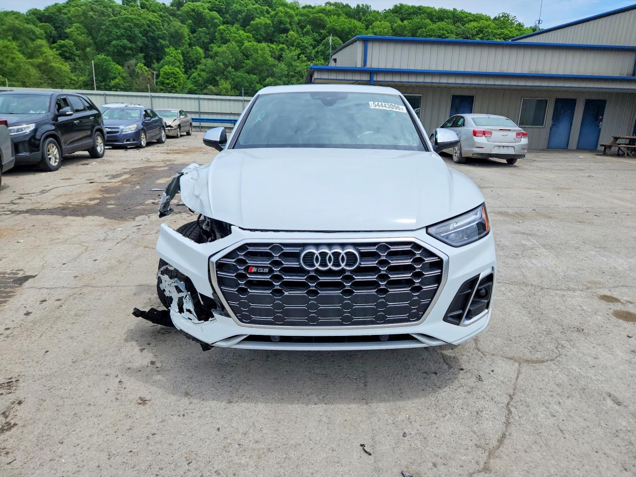 2022 Audi Sq5 Sportback Premium Белый vin: WA114AFY1N2108662