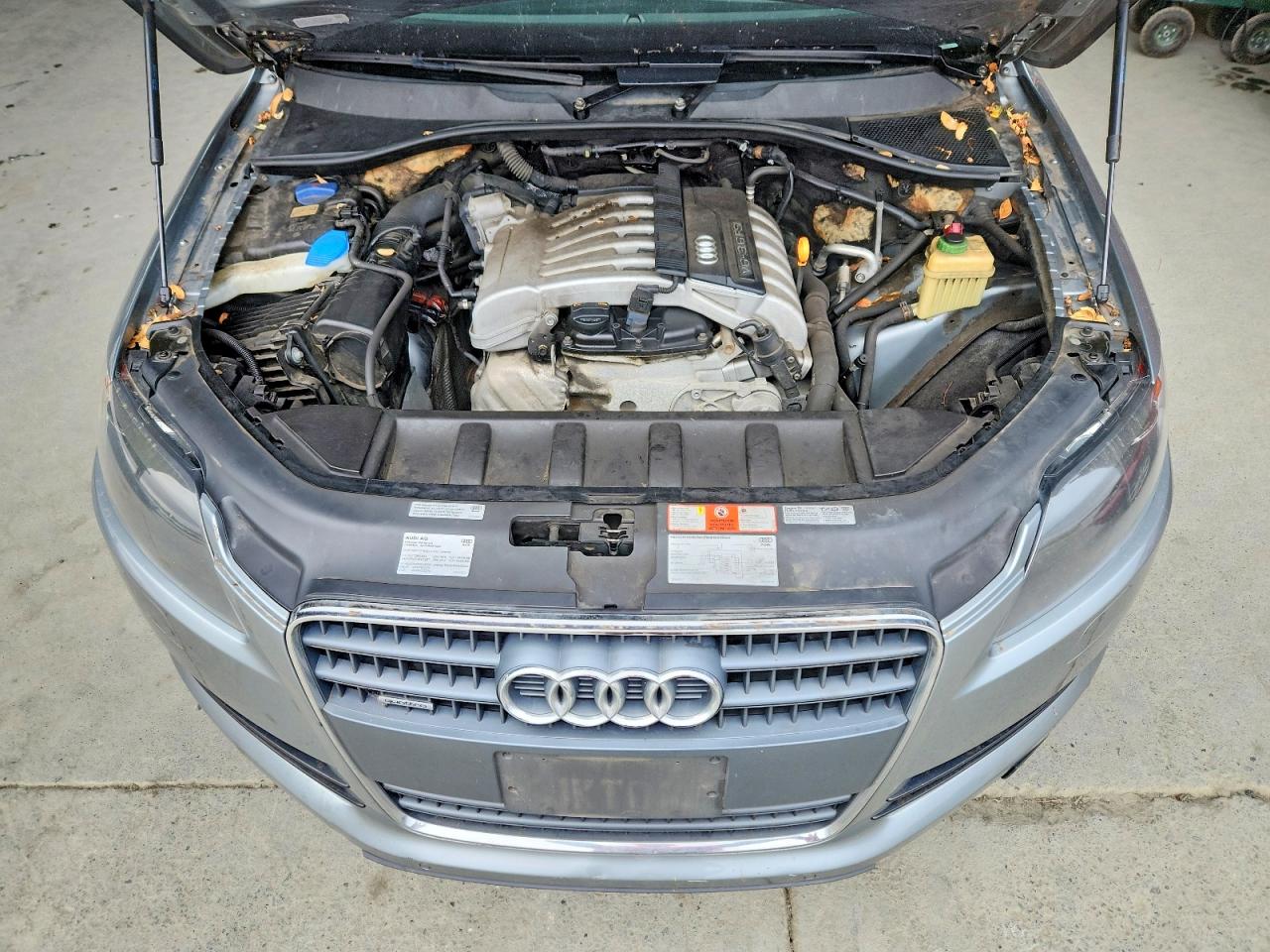 2009 Audi Q7 3.6 Quattro Silver vin: WA1AY74L89D016795