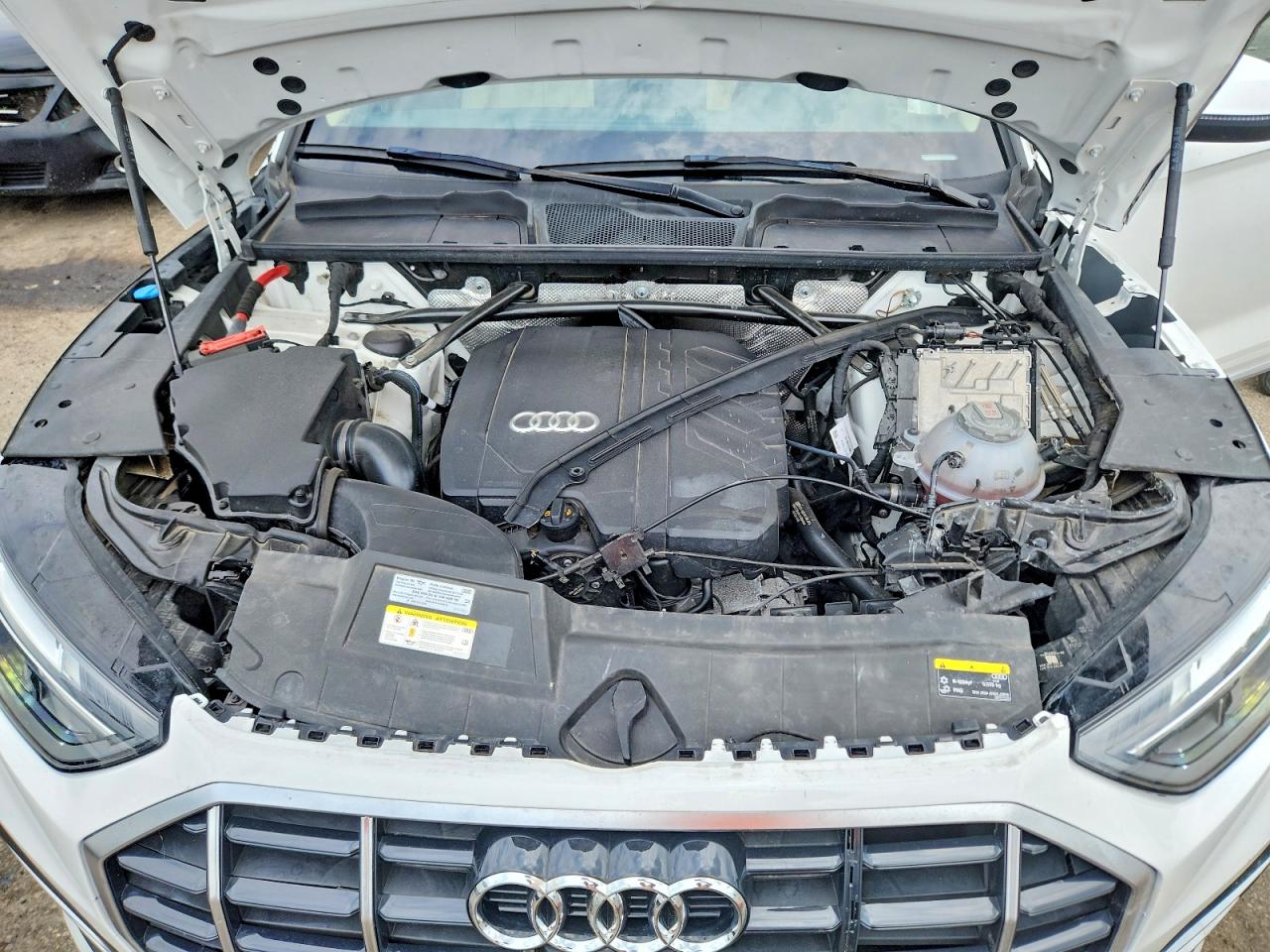 2021 Audi Q5 Premium Plus Белый vin: WA1BAAFY8M2104765