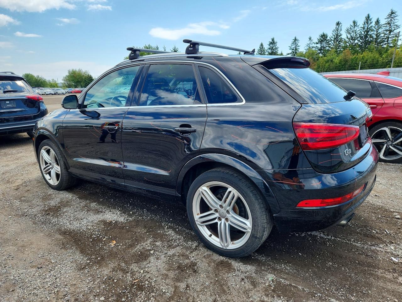 2015 Audi Q3 Premium Plus Black vin: WA1BFEFS1FR008751