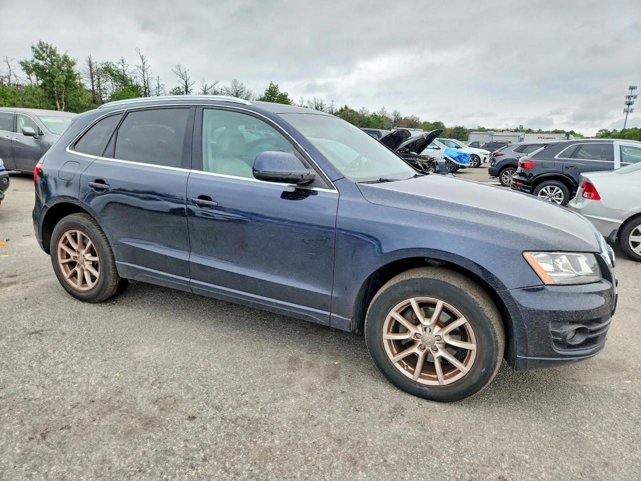 2010 Audi Q5 Premium Синий vin: WA1CKAFP0AA103345
