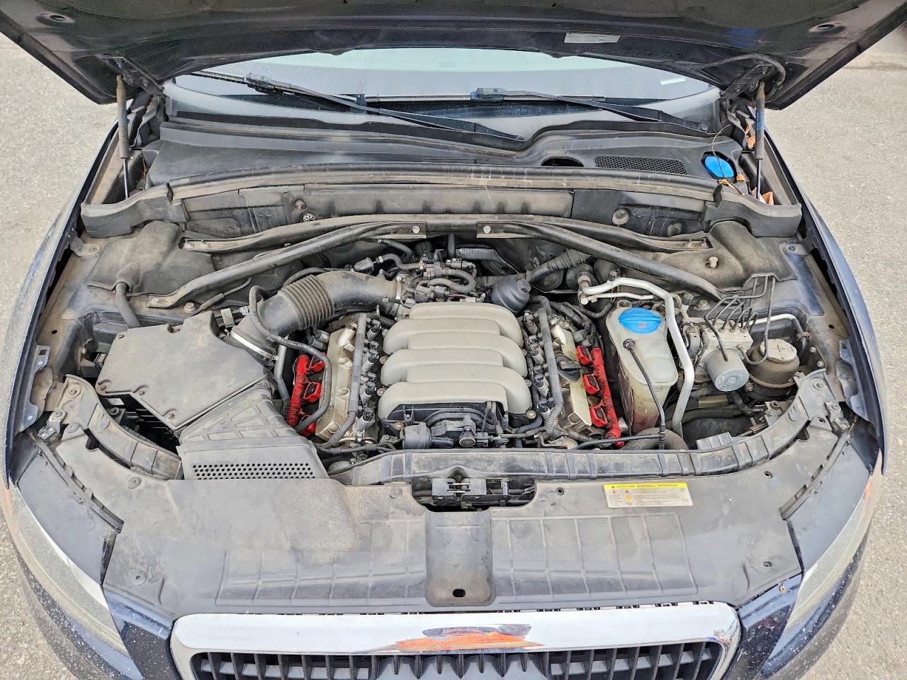 2010 Audi Q5 Premium Синий vin: WA1CKAFP0AA103345