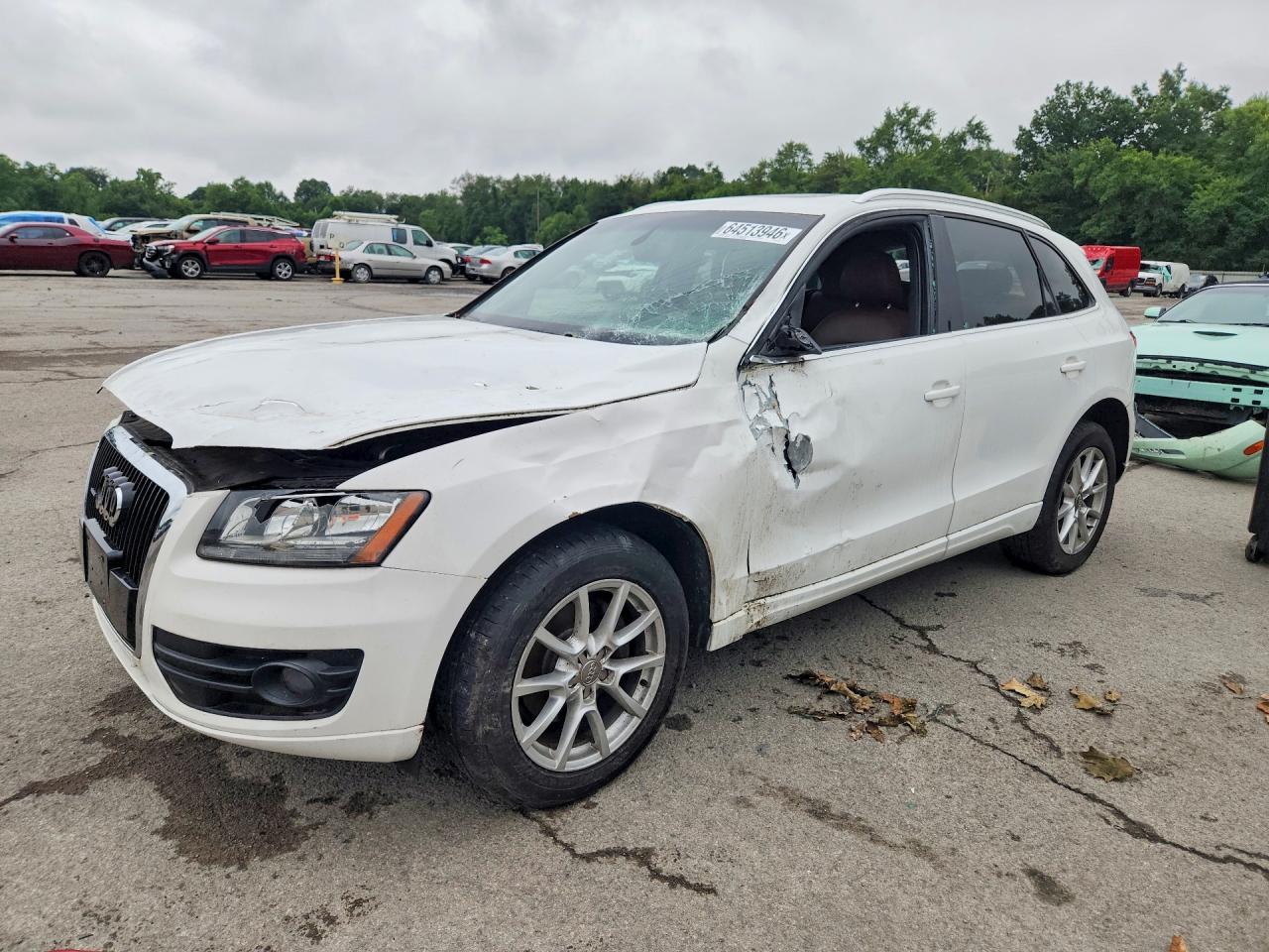 2010 Audi Q5 Premium Белый vin: WA1CKAFP5AA077289
