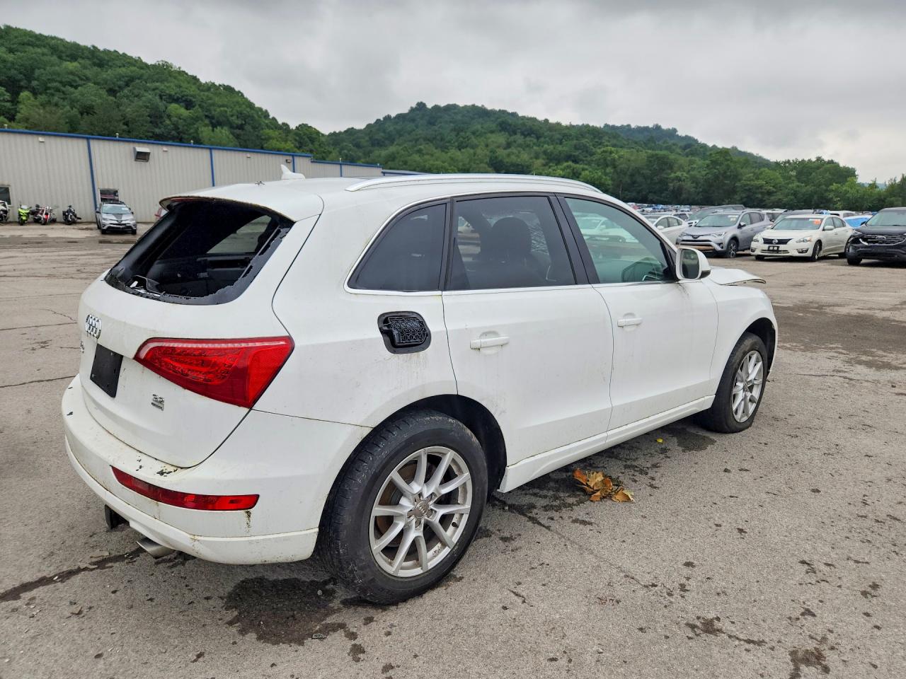 2010 Audi Q5 Premium Белый vin: WA1CKAFP5AA077289