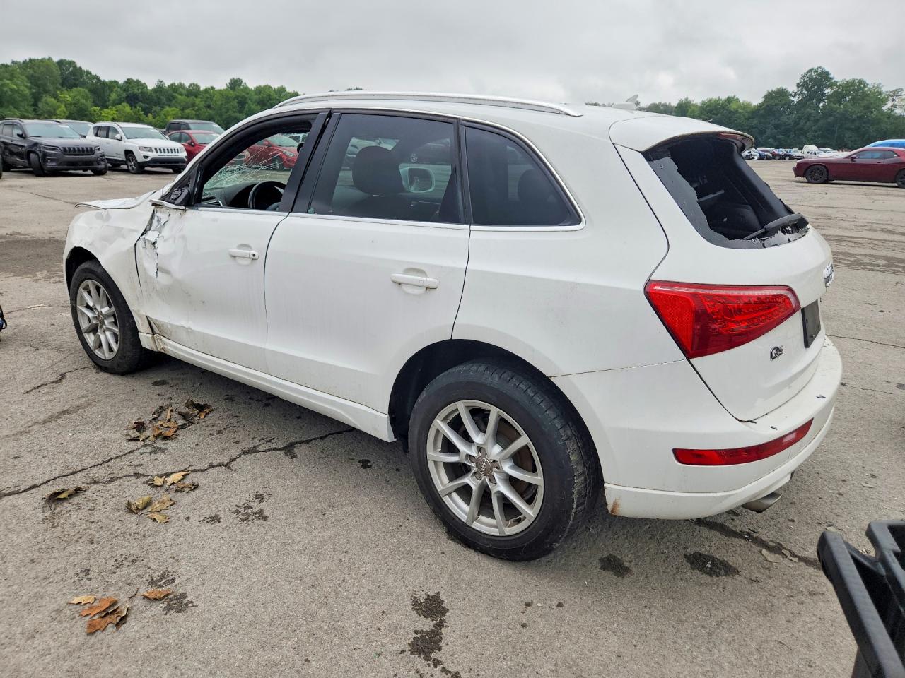 2010 Audi Q5 Premium Белый vin: WA1CKAFP5AA077289
