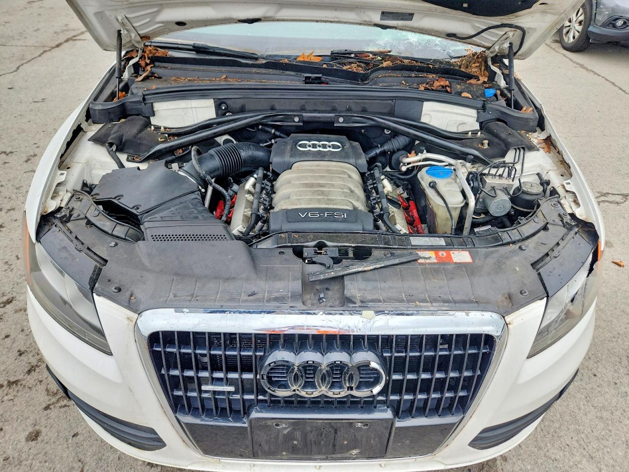 2010 Audi Q5 Premium Белый vin: WA1CKAFP5AA077289