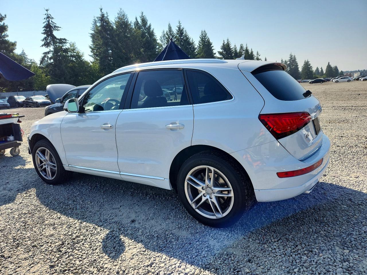 2015 Audi Q5 Tdi Premium Plus Белый vin: WA1CMAFP2FA139040