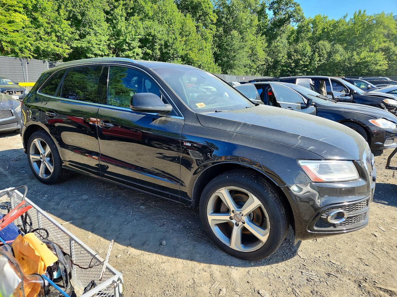 2013 Audi Q5 Premium Plus Black vin: WA1DGAFP1DA074710