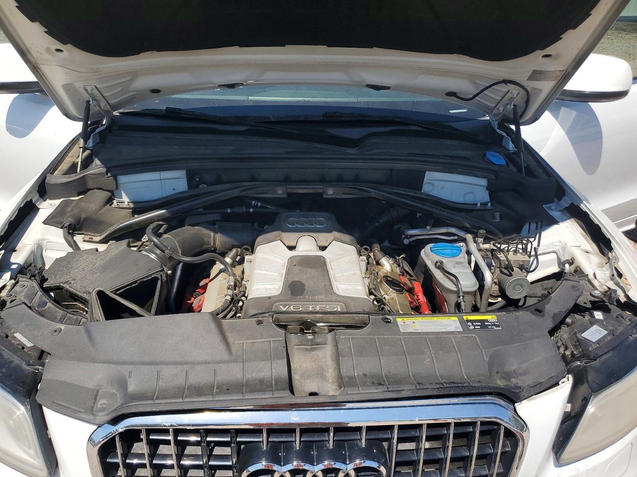 2013 Audi Q5 Premium Plus White vin: WA1DGAFP8DA062747