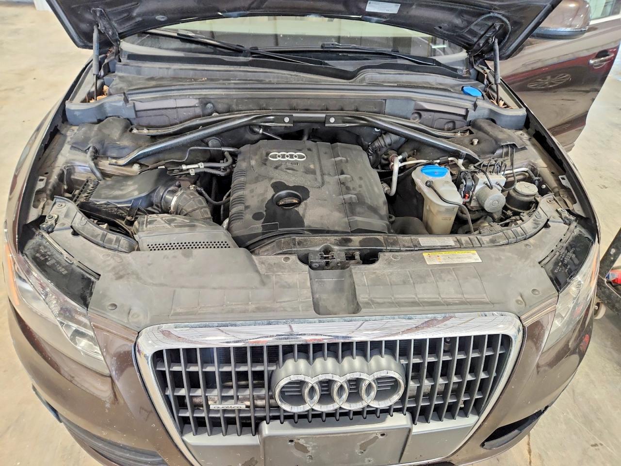 2011 Audi Q5 Premium Plus Brown vin: WA1LFAFP0BA029169