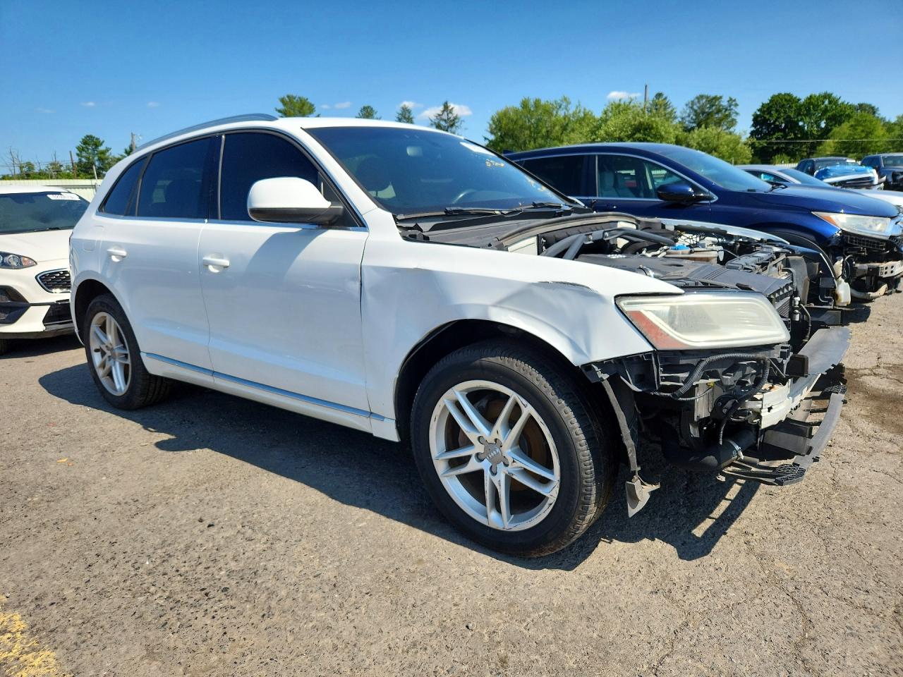 2013 Audi Q5 Premium Plus Белый vin: WA1LFAFP0DA101054