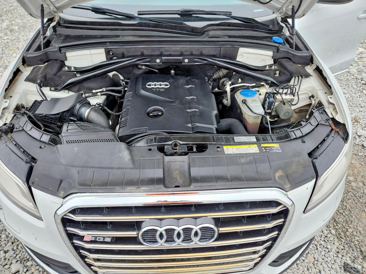 2014 Audi Q5 Premium Plus White vin: WA1LFAFP0EA123914