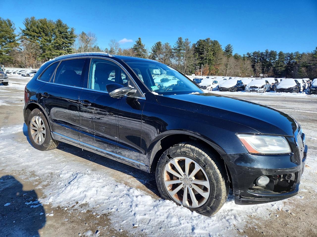 2013 Audi Q5 Premium Plus Black vin: WA1LFAFP1DA071255