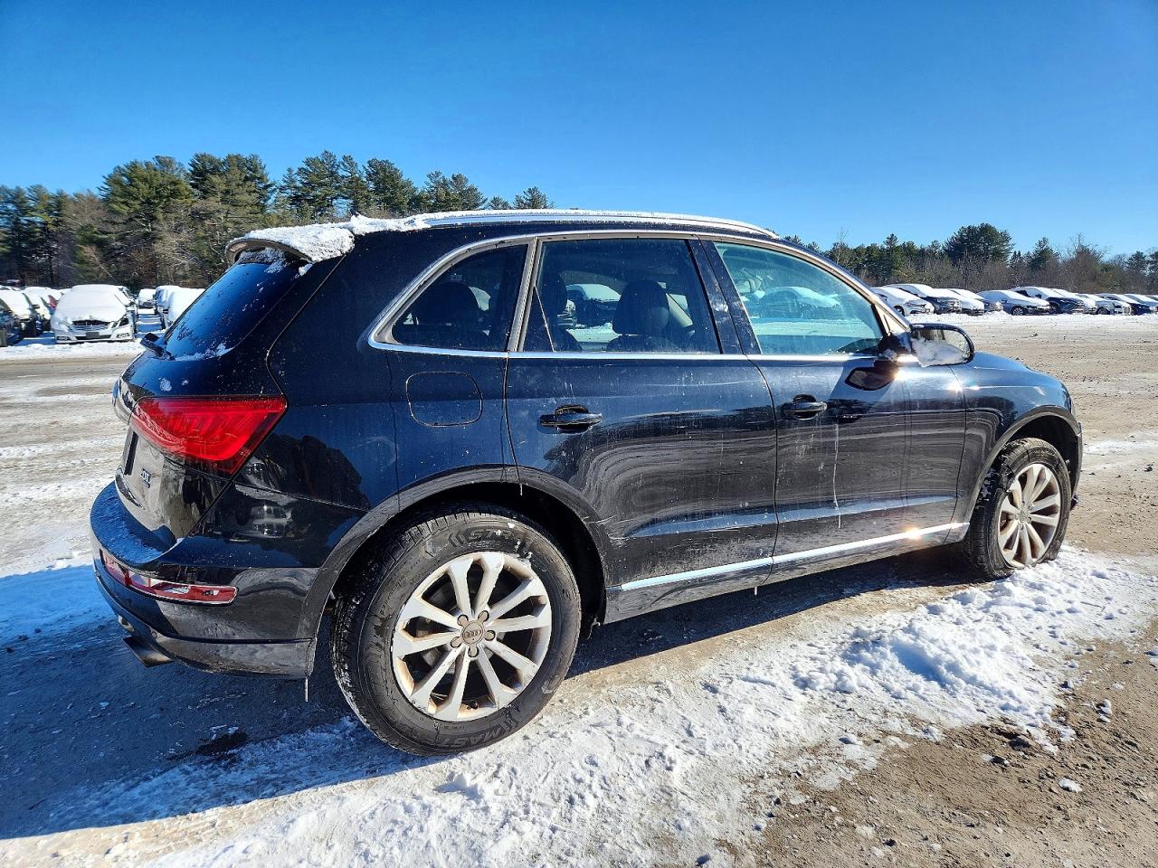 2013 Audi Q5 Premium Plus Black vin: WA1LFAFP1DA071255