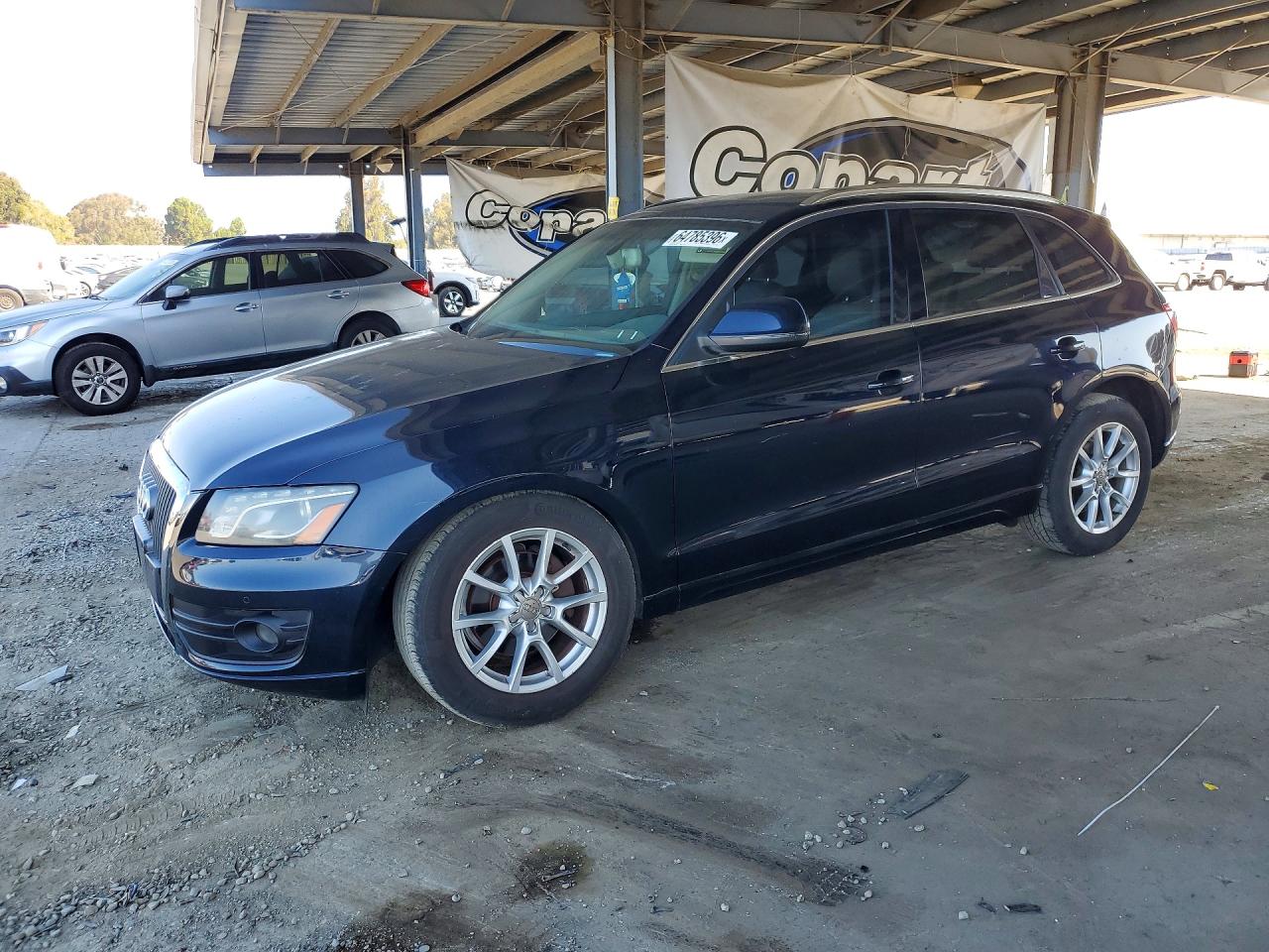 2011 Audi Q5 Premium Plus Black vin: WA1LFAFP2BA017962