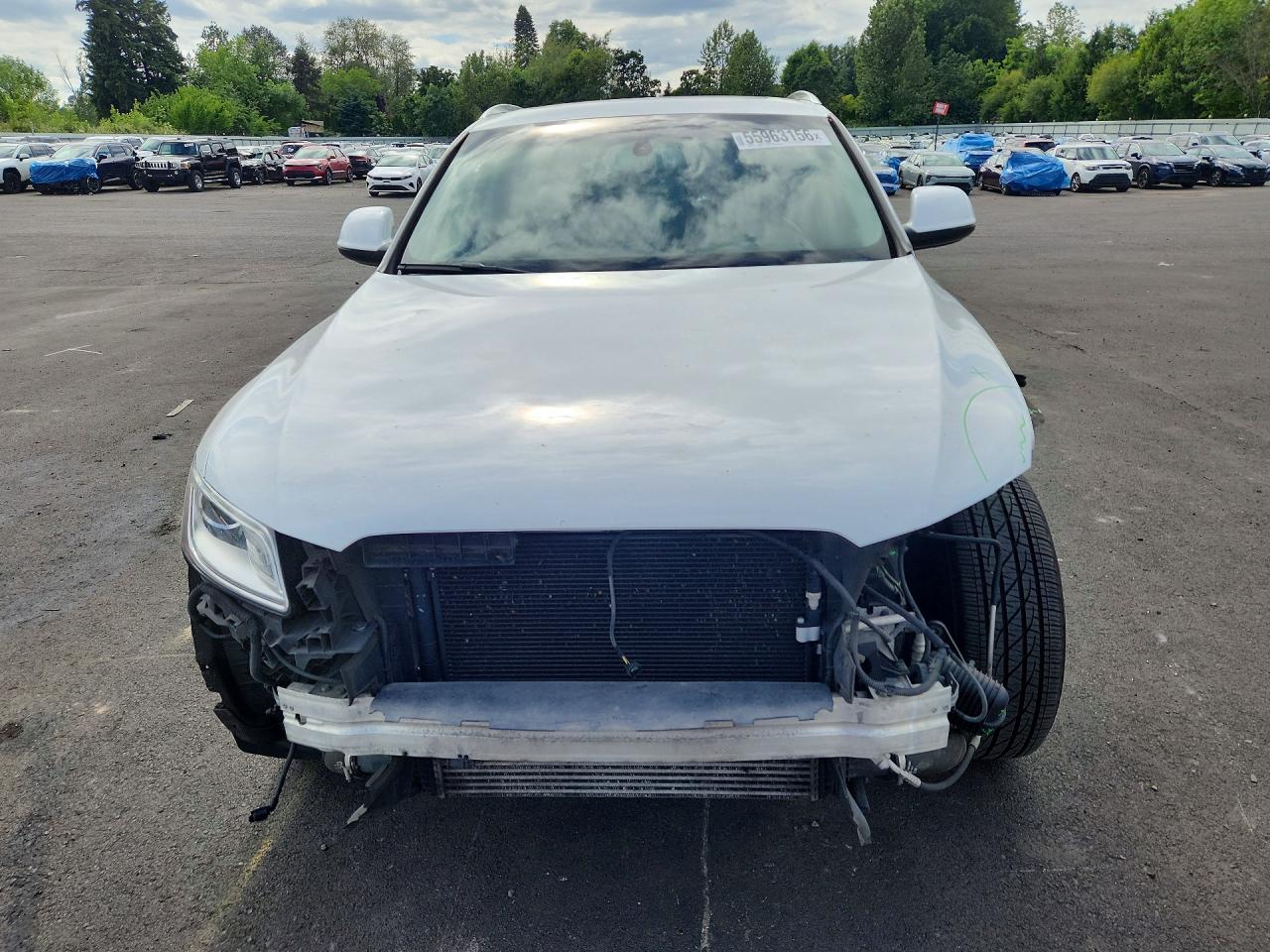 2015 Audi Q5 Premium Plus White vin: WA1LFAFP2FA055780