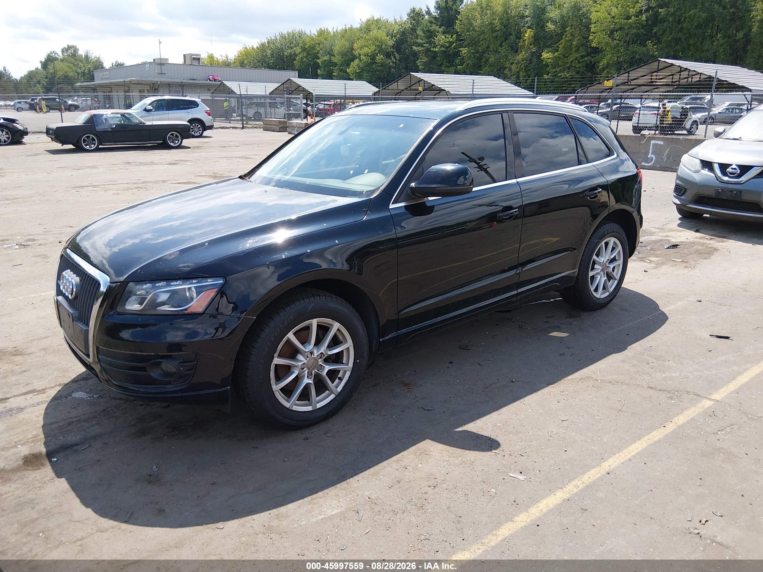 2011 Audi Q5 Premium Plus Black vin: WA1LFAFP5BA032794