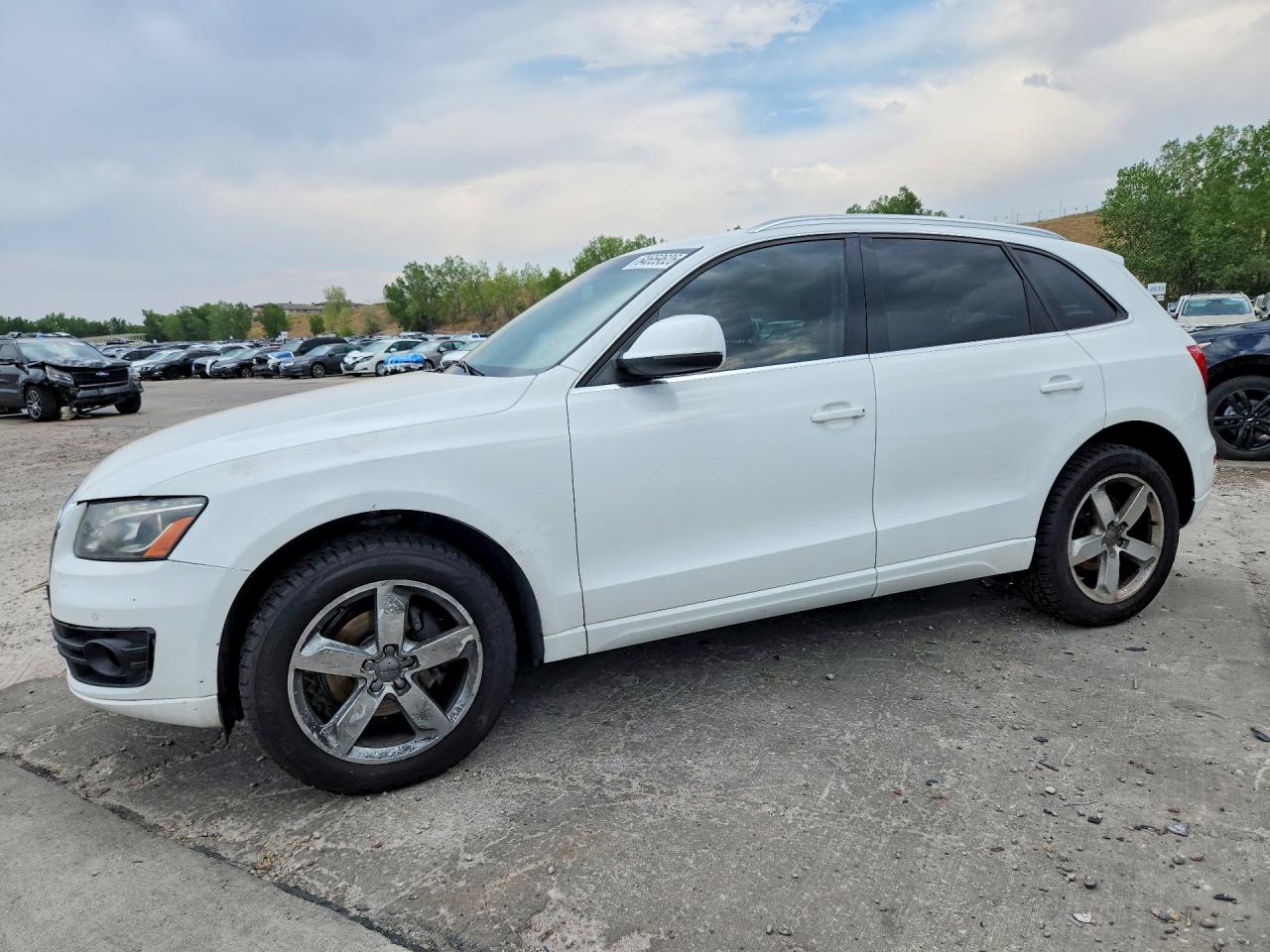 2012 Audi Q5 Premium Plus White vin: WA1LFAFP7CA113331