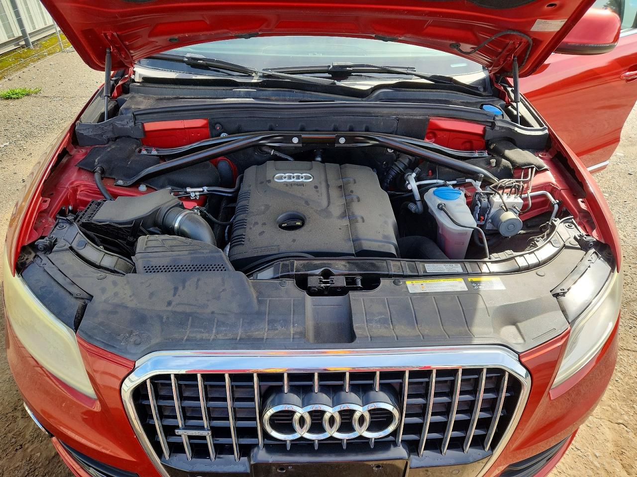 2014 Audi Q5 Premium Plus Orange vin: WA1LFAFP7EA007898