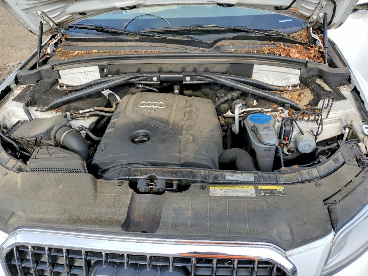 2015 Audi Q5 Premium Plus Белый vin: WA1LFAFP7FA049005