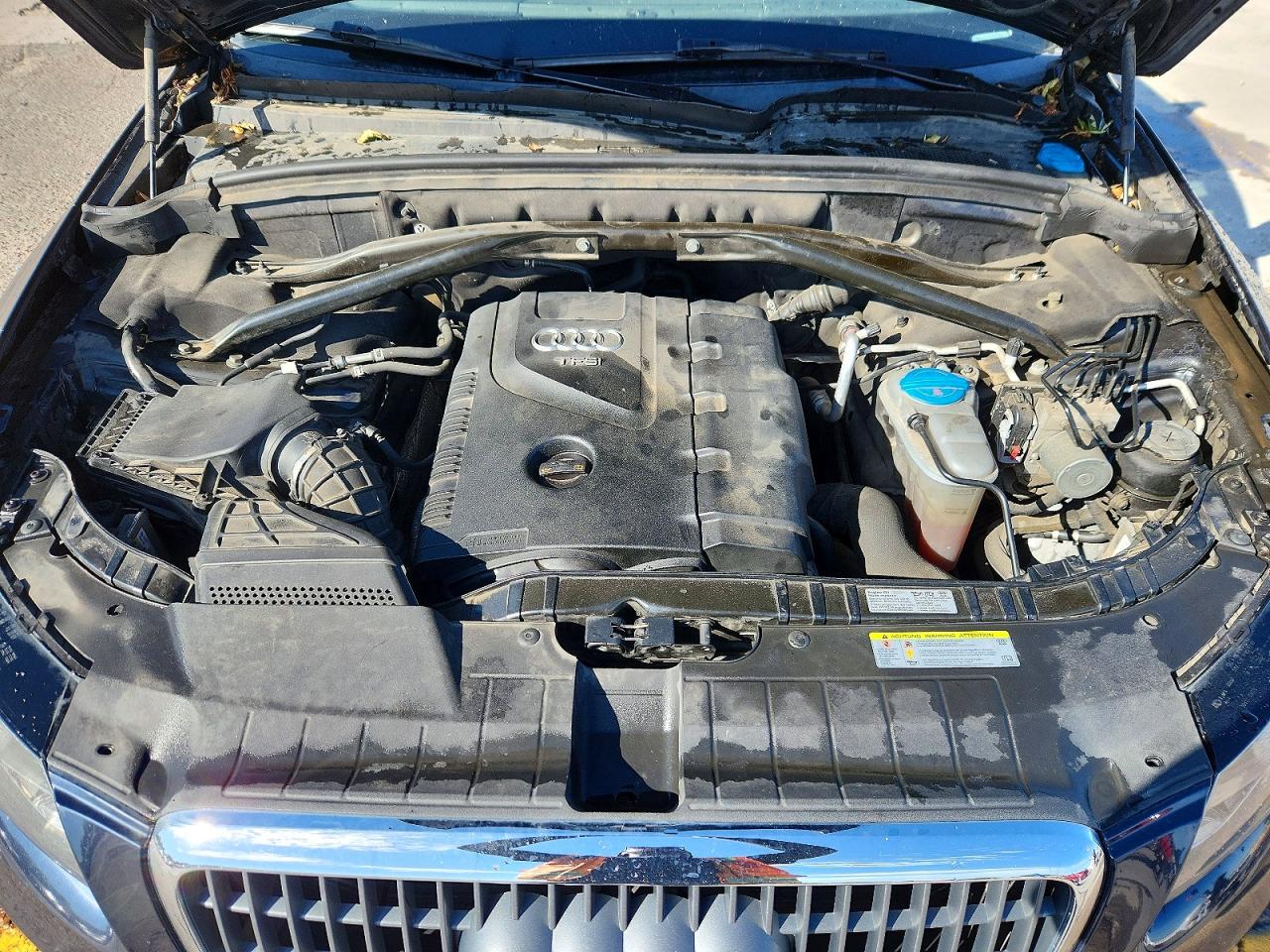 2012 Audi Q5 Premium Plus Blue vin: WA1LFAFP8CA045931