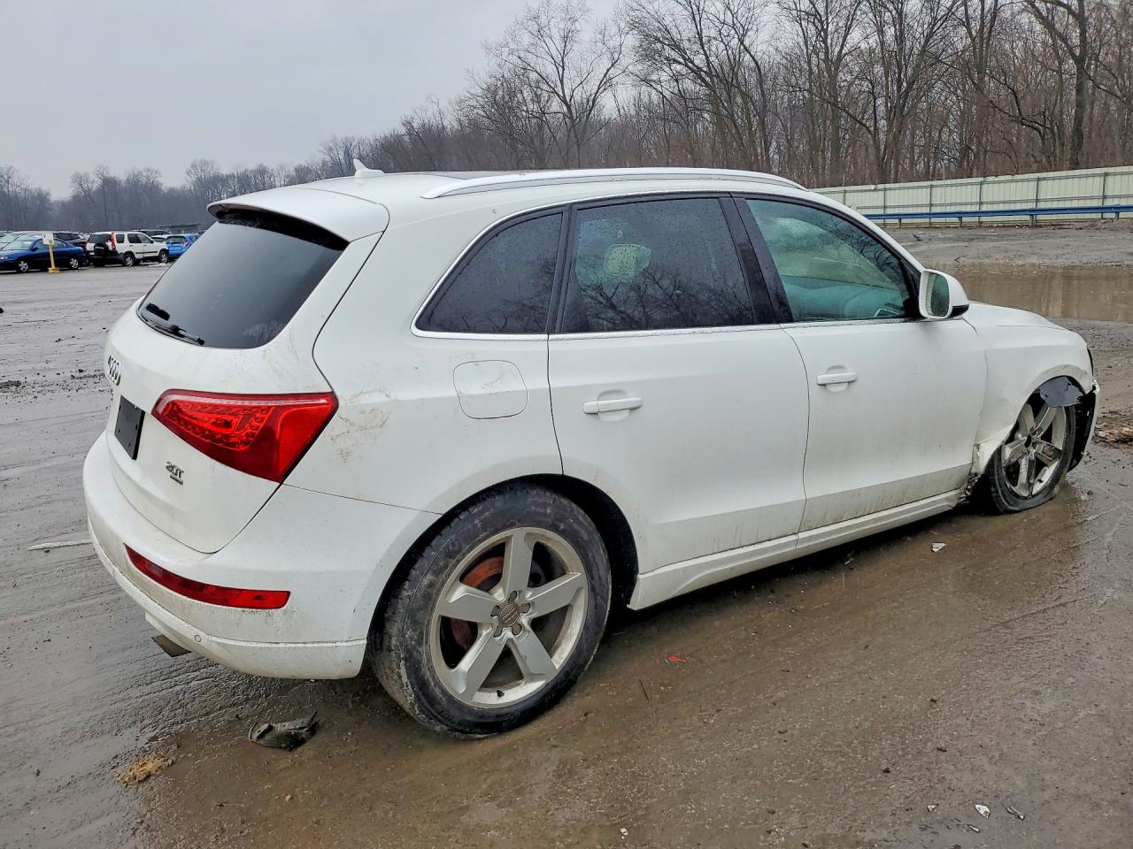2012 Audi Q5 Premium Plus White vin: WA1LFAFP8CA055150