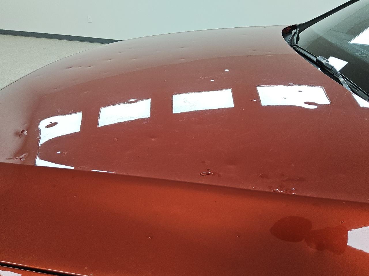 2014 Audi Q5 Premium Plus Orange vin: WA1LFAFP9EA028879 Damage: Hood, Hail Damage, 10 Or More