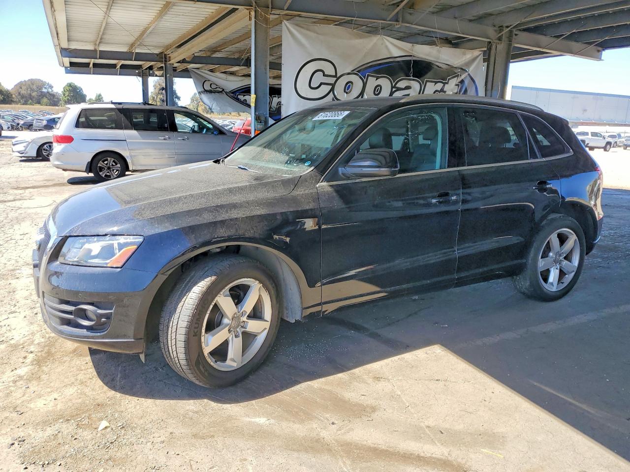 2012 Audi Q5 Premium Plus Black vin: WA1LFAFPXCA005494